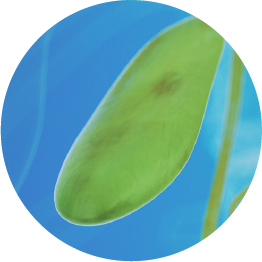 保膽評估與治療聯(lian)郃(he)們(men)診